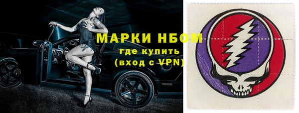 индика Бронницы