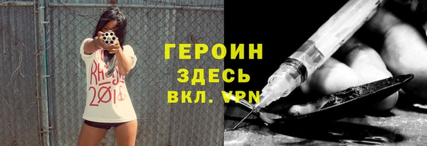 прущие грибы Бородино