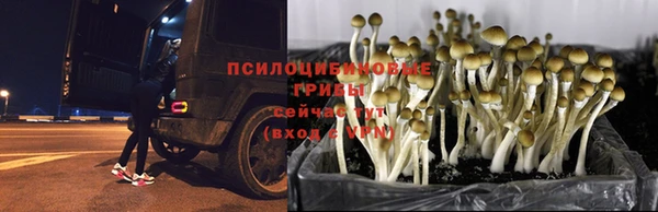 бутик Богданович