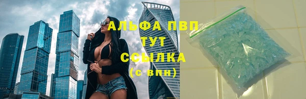 прущие грибы Бородино