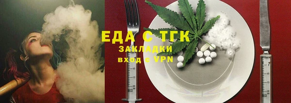 индика Бронницы
