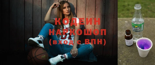 прущие грибы Бородино