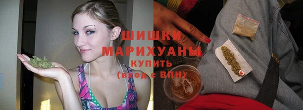 прущие грибы Бородино