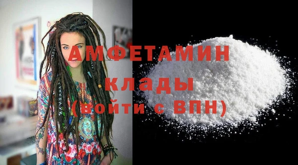 индика Бронницы