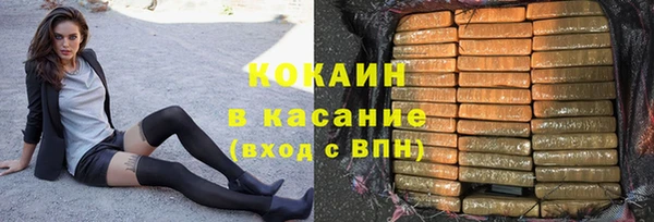 прущие грибы Бородино