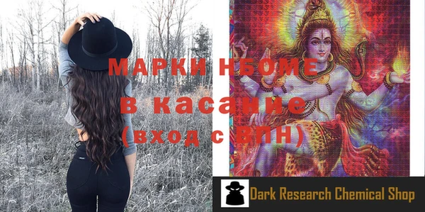 индика Бронницы
