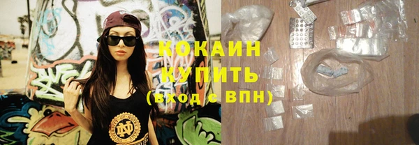 прущие грибы Бородино