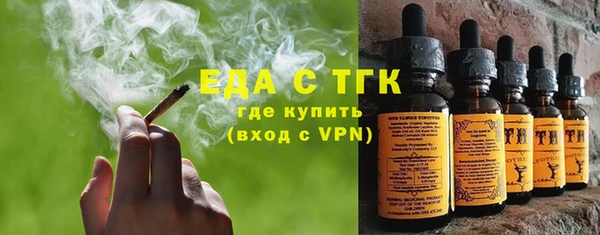 индика Бронницы