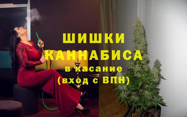 индика Бронницы