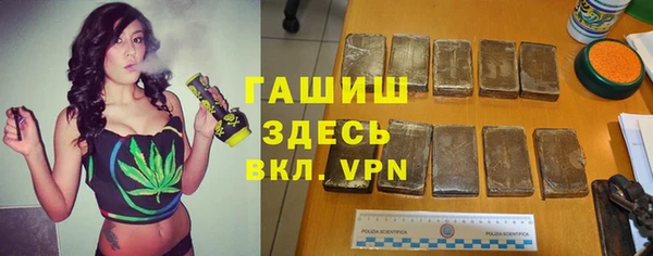 индика Бронницы