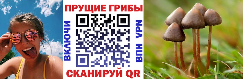Псилоцибиновые грибы GOLDEN TEACHER  Горнозаводск 